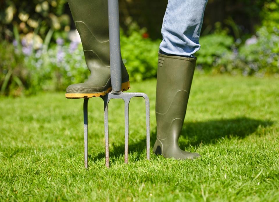 Rejuvenate Your Lawn with 7 Spring Musts