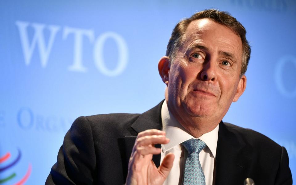 Liam Fox is one of five remaining candidates for the job of WTO director general -  FABRICE COFFRINI/AFP