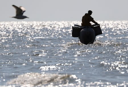 A Belgian shrimp fisherman rides his horse in the sea in the coastal town of Oostduinkerke