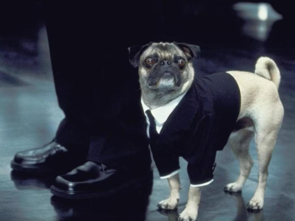 Frank in "Men in Black II."