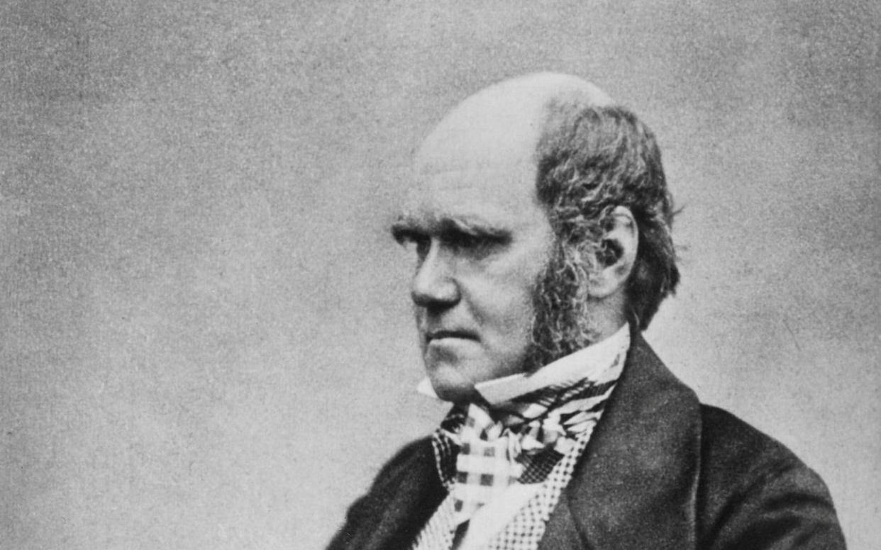 Charles Darwin's notebooks have been missing for 20 years