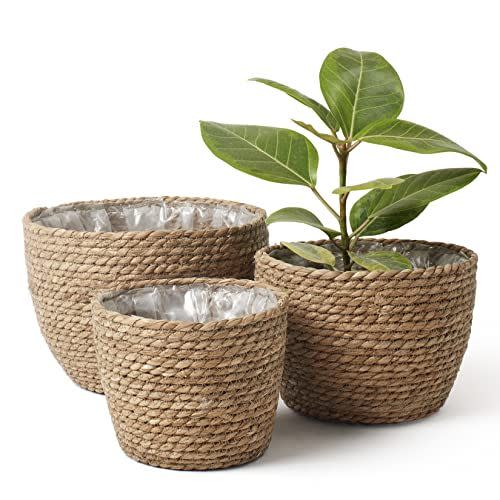 3) Seagrass Planter Basket