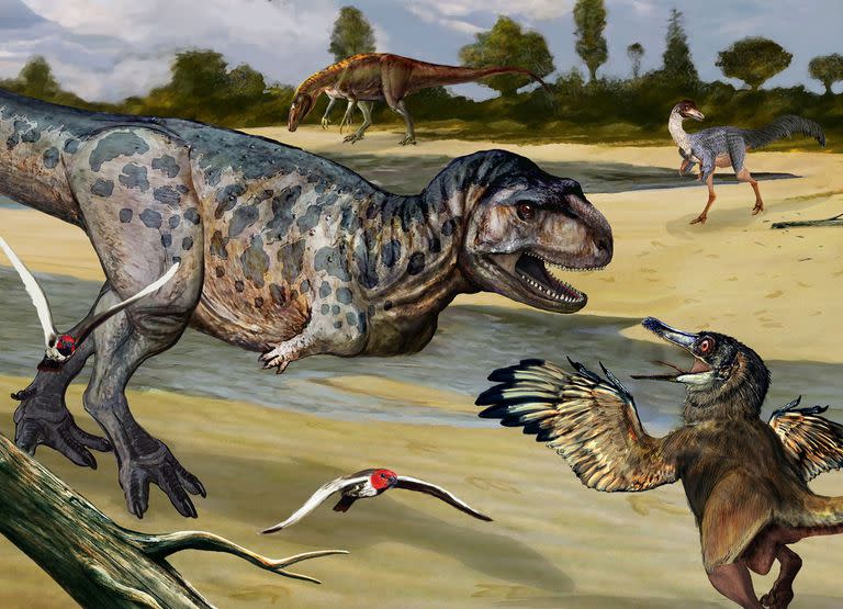Un equipo del Conicet publicó la investigación en la revista Papers in Palaeontology