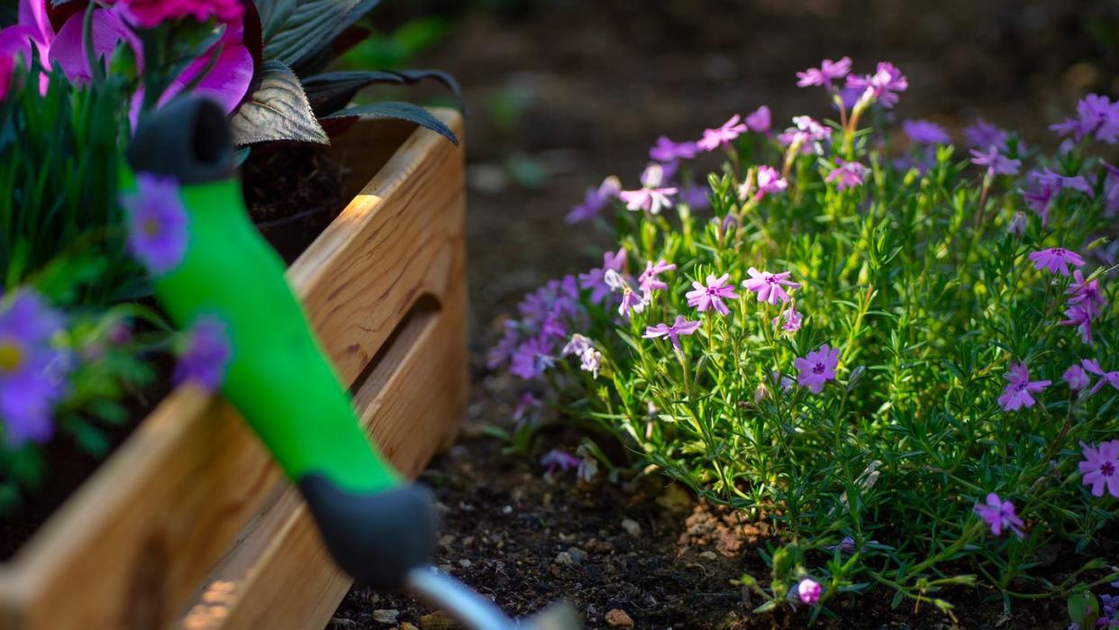 best raised bed gardens