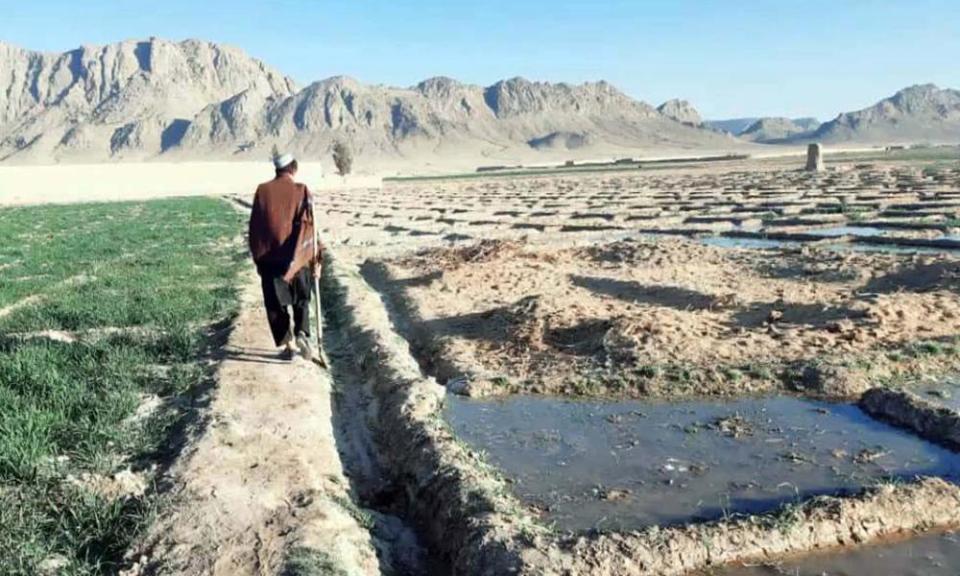 <span>Photograph: Ghulamullah Habibi/EPA</span>