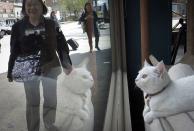 A cat is pictured sitting at the window of the cat cafe in New York April 23, 2014. The cat cafe is a pop-up promotional cafe that features cats and beverages in the Bowery section of Manhattan.