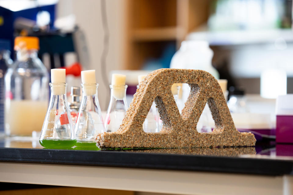 Un arco hecho de materiales de construcción vivos en el laboratorio de Wil Srubar, ingeniero estructural de la Universidad de Colorado, en el laboratorio de Boulder. (Facultad de Ingeniería y Ciencias Aplicadas de Boulder vía The New York Times)