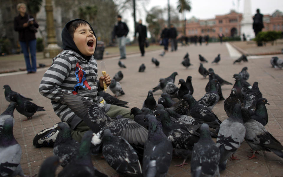 FILE - This Sept. 10, 2008 file photo shows a boy playing with pigeons in Plaza de Mayo in Buenos Aires. (AP Photo/Natacha Pisarenko, file)