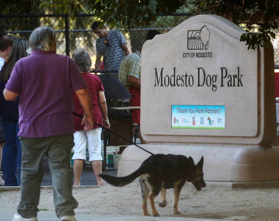 In this file photo, dog owners arrive for an informational meeting at the Modesto Dog Park.