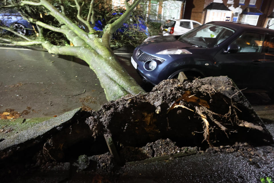 A huge tree has come down on Gristhrope Road, Selly Oak, Birmingham and phone lines in the area are down during Storm Isha.  January 21, 2023.  An amber warning for wind is now in force across much of the UK, as the Met Office warns of disruption from Storm Isha.