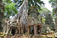 See for yourself why Angelina Jolie fell in love with the mystical jungle temples of Angkor Wat while filming 'Lara Croft: Tomb Raider'.