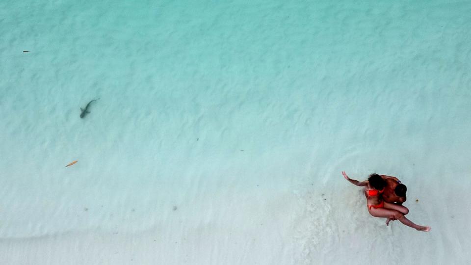 Tourists pose for a picture as a newborn blacktip reef shark swims by the shore (Reuters)