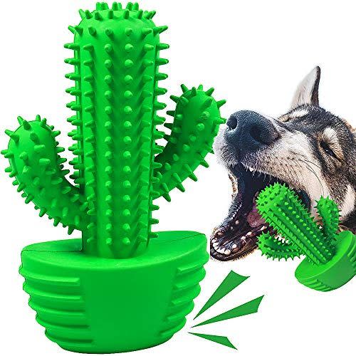 59) Dog Cactus Chew Toy