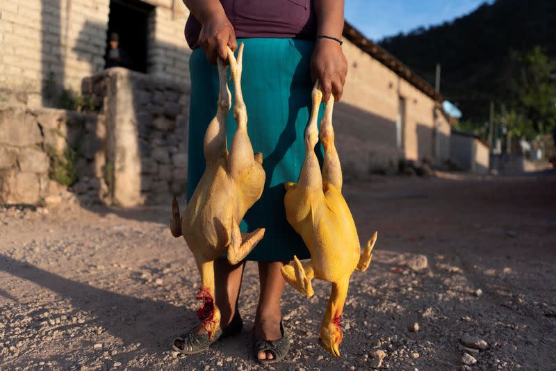 The Wider Image: "Under siege": Inside Mexican village where children are armed