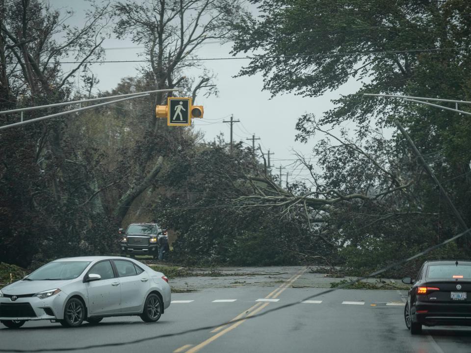 Vehicles turn around as trees and downed power lines block a road in Nova Scotia (Getty Images)