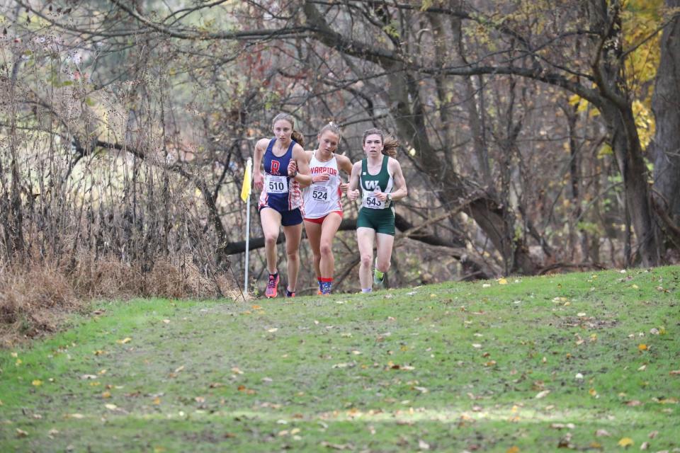 A group of runners crest a hill, one of whom is Nicole Dauberman (524), a senior at Susquehannock, in the  PIAA Girls' Class 2A cross country race at Hershey Parkview course on Saturday, Nov. 5, 2022.