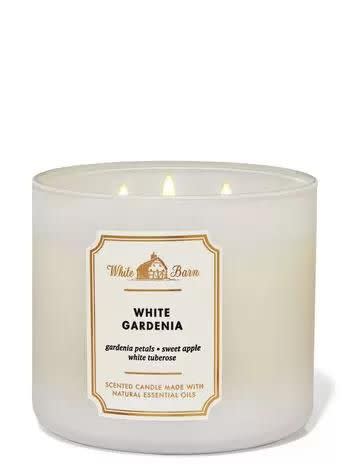 <p><a href="https://go.redirectingat.com?id=74968X1596630&url=https%3A%2F%2Fwww.bathandbodyworks.com%2Fp%2Fwhite-gardenia-3-wick-candle-026658300.html&sref=https%3A%2F%2F" rel="nofollow noopener" target="_blank" data-ylk="slk:Shop Now;elm:context_link;itc:0;sec:content-canvas" class="link ">Shop Now</a></p><p>White Gardenia 3-Wick Candle</p><p>bathandbodyworks.com</p><p>$26.95</p>