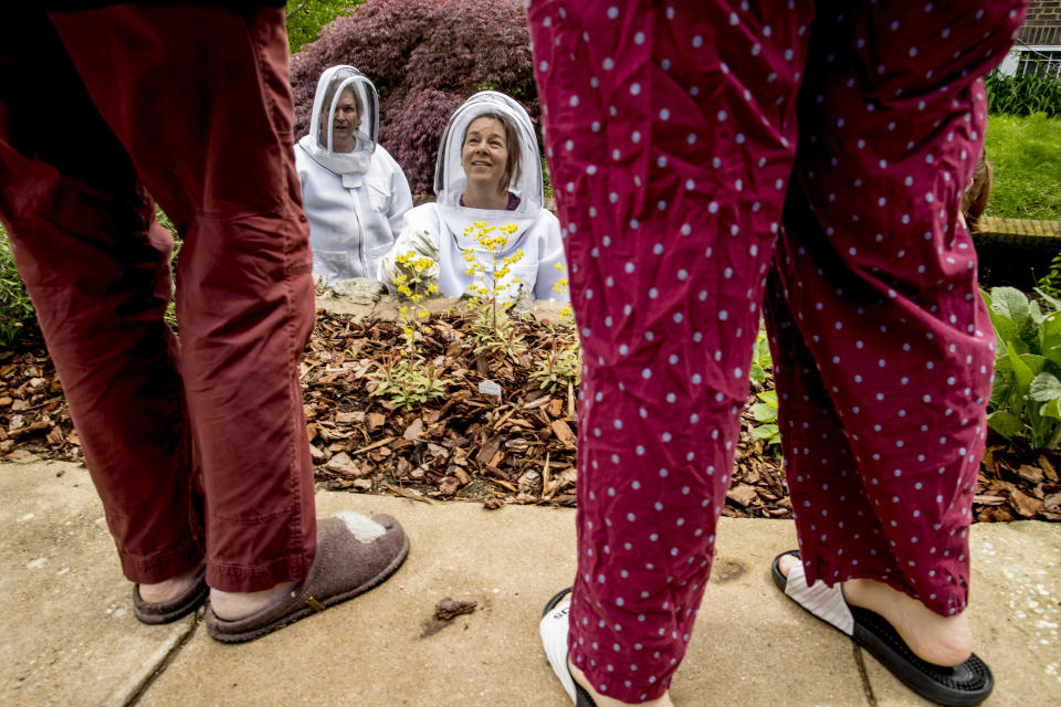 Beekeepers Sean Kennedy and Erin Gleeson speaks with neighbors Laura Takacs, left, and her daughter Maxine Payne, 17, right, after they capture a swarm of honey bees to relocate them to a bee hive, Friday, May 1, 2020, in Washington. (AP Photo/Andrew Harnik)
