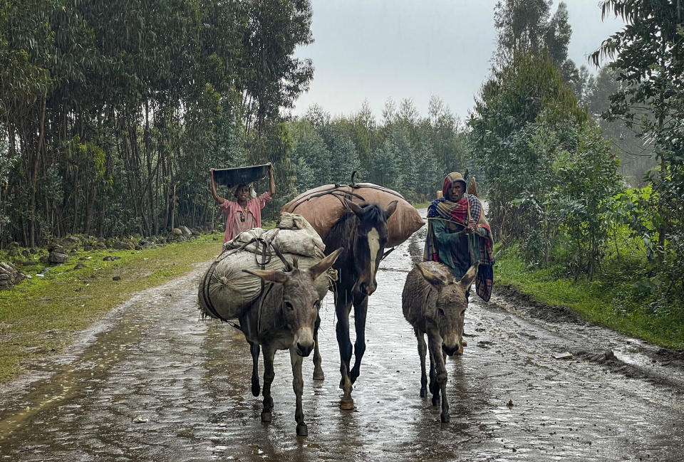 Villagers leave their homes in the rain, carrying their belongings on donkeys, near the village of Chenna Teklehaymanot, in the Amhara region of northern Ethiopia Thursday, Sept. 9, 2021. At the scene of one of the deadliest battles of Ethiopia's 10-month Tigray conflict, witness accounts reflected the blurring line between combatant and civilian after the federal government urged all capable citizens to stop Tigray forces "once and for all." (AP Photo)