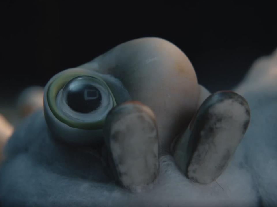 A scene from "Marcel the Shell with Shoes On"