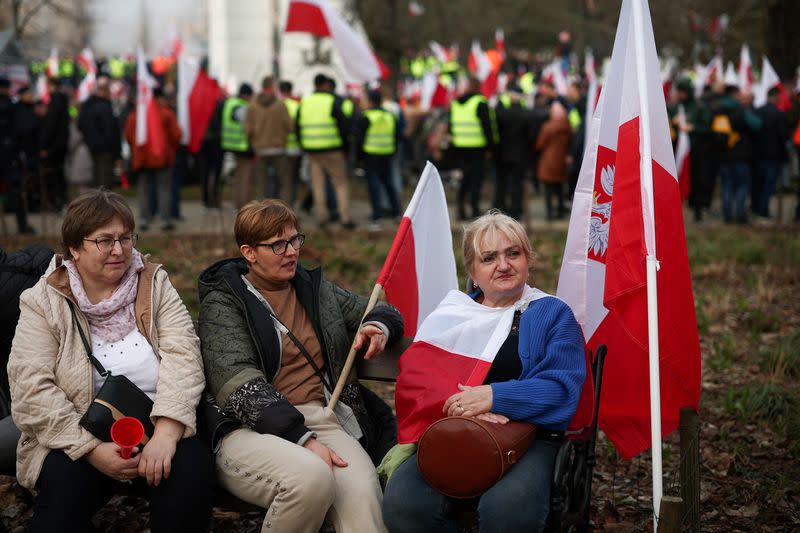 Polish farmers protest in Warsaw