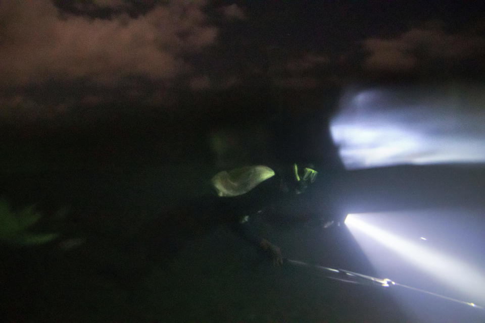 Nicholas Bingham spearfishes at night, which is banned, under a moonlit sky, in Stewart Town, Jamaica, Friday, Feb. 15, 2019. Night spearfishermen wrap their faces to protect against stinging jellyfish. But that's not the only threat lurking in the water: In addition to sharks, wardens are patrolling, scouting for illegal fishing. (AP Photo/David Goldman)