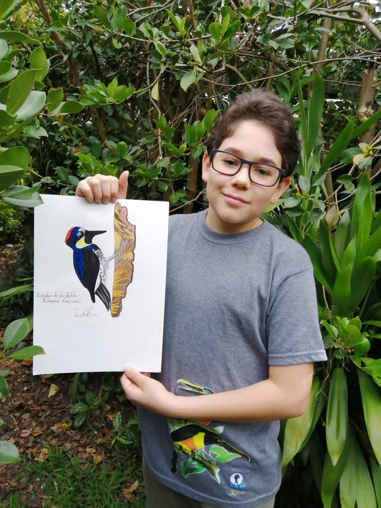 In this Aug. 2020 photo provided by Johana Reyes Herrera, Jacobo Rendon, 14, poses with his illustration of an Acorn Woodpecker in his backyard in El Camino de Viboral, Colombia. Rendon has been working on a photographic and illustrated bird guide that he plans to donate to a local cultural center. (Johana Reyes Herrera via AP)