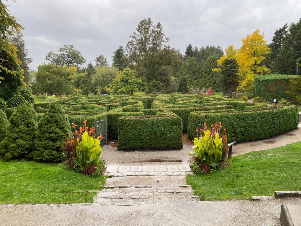 HEDGE MAZE at VanDusen Botanical Garden