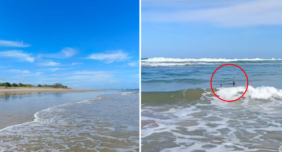 Left: Corindi Beach on the NSW coast. Right: The dorsal fin of a shark is circled after it was photographed at Corindi Beach. Source: Facebook