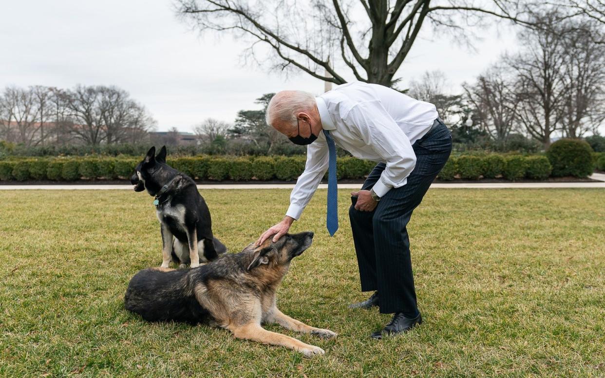 President Joe Biden greets dogs Champ and Major in the Rose Garden of the White House - Official White House