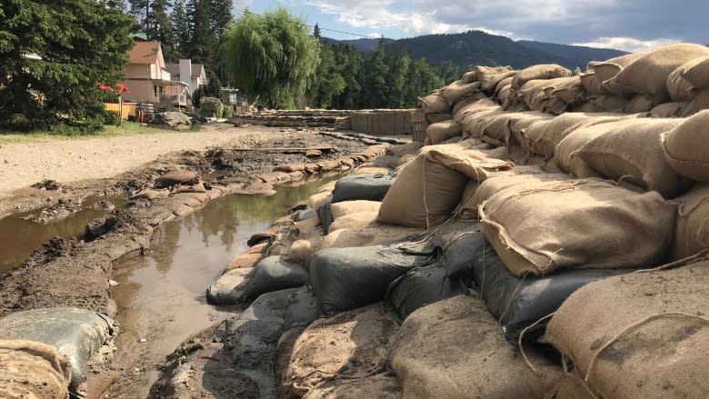 Canadian Armed Forces arrive in Twin Lakes to bolster dike, protect homes