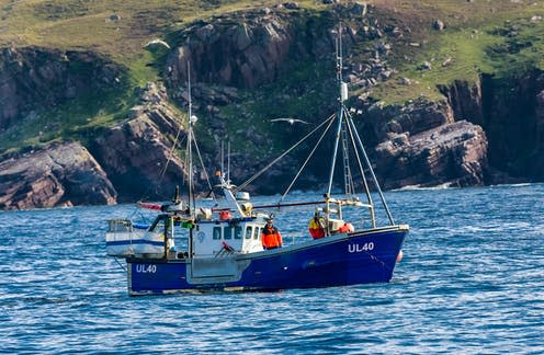   <span class="attribution"><a class="link " href="https://www.shutterstock.com/image-photo/ullapool-scotland-august-28-2019-fishing-1621202401" rel="nofollow noopener" target="_blank" data-ylk="slk:A blue fishing trawler off the coast of Ullapool.;elm:context_link;itc:0;sec:content-canvas">A blue fishing trawler off the coast of Ullapool.</a></span>