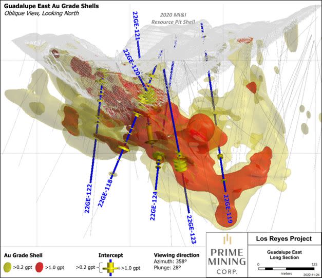 Guadalupe East Grade Shell Longitudinal Section