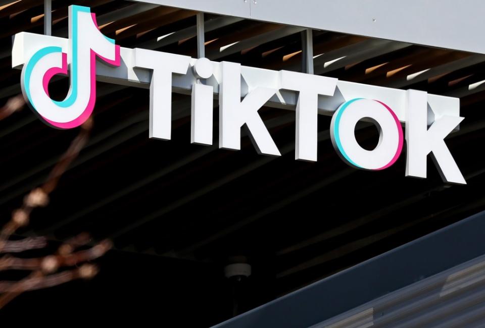TikTok has vowed to fight any forced sale in court. Getty Images