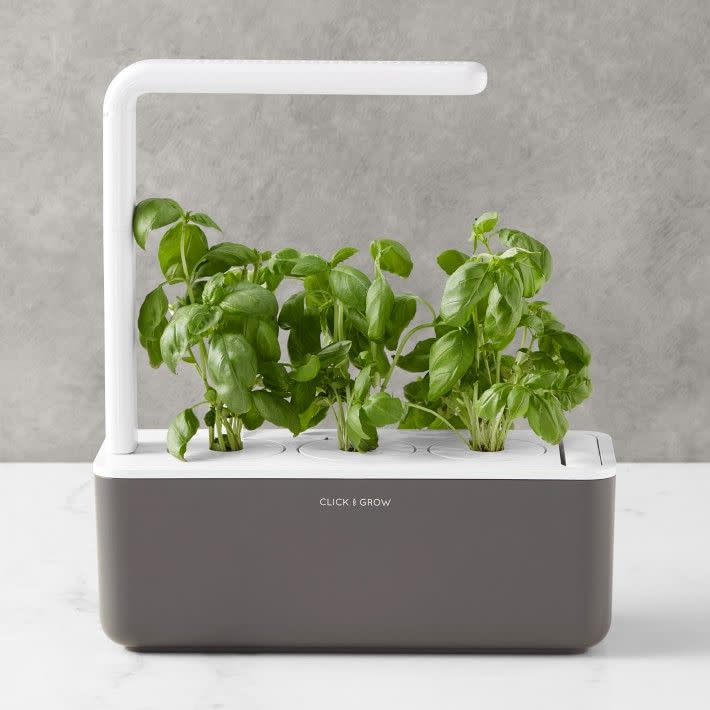 Click and Grow Smart Garden