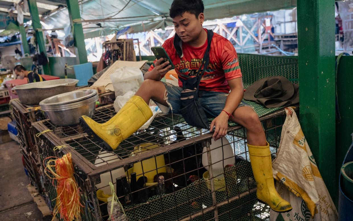 A wet market in neighbouring Thailand - these are common across southeast Asia, and are known to be a potential threat for new spillover events - Jack TAYLOR