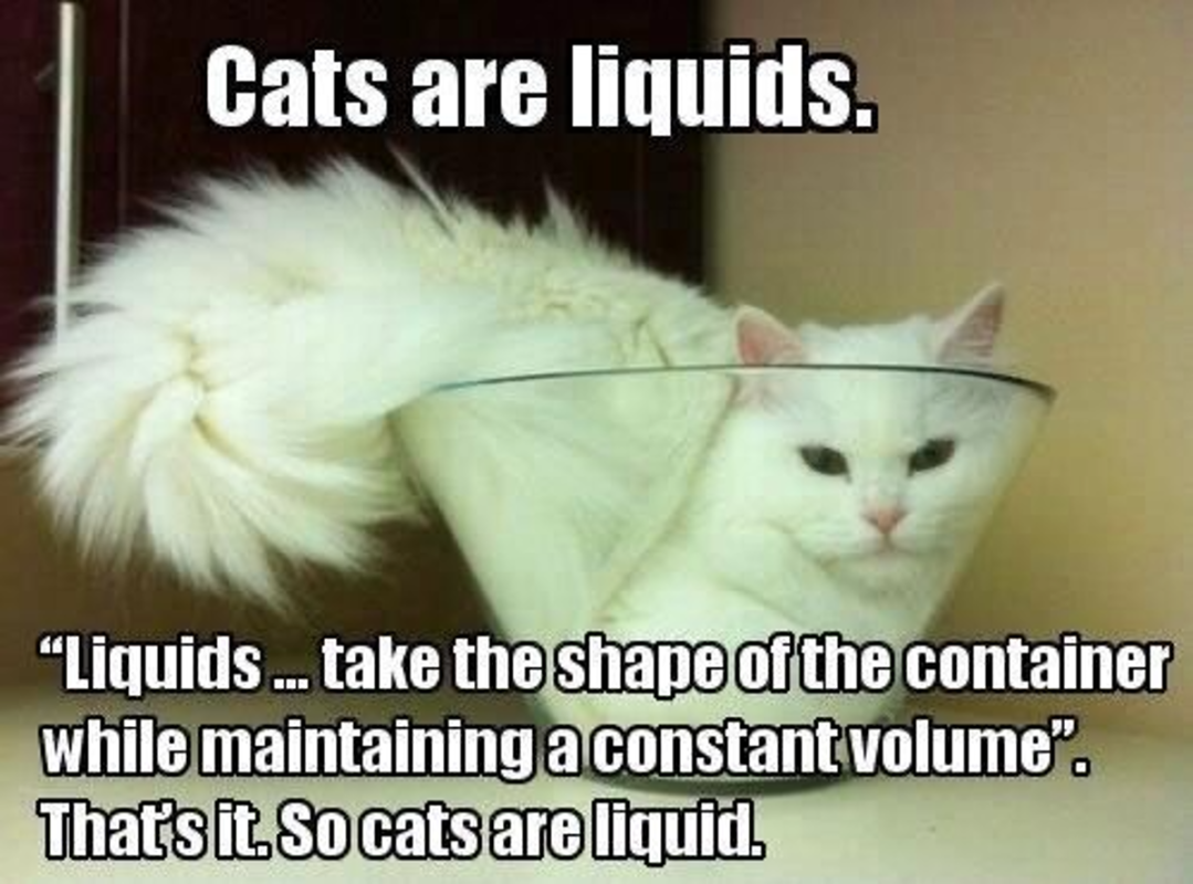 Cats are liquids<p>RachaelDickzen.com</p>