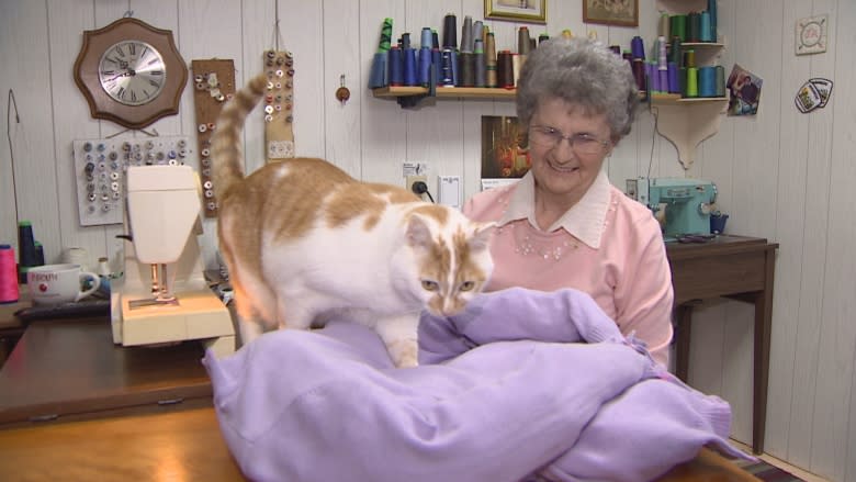 A P.E.I. woman is making the purrfect cat bed, one sweater at a time