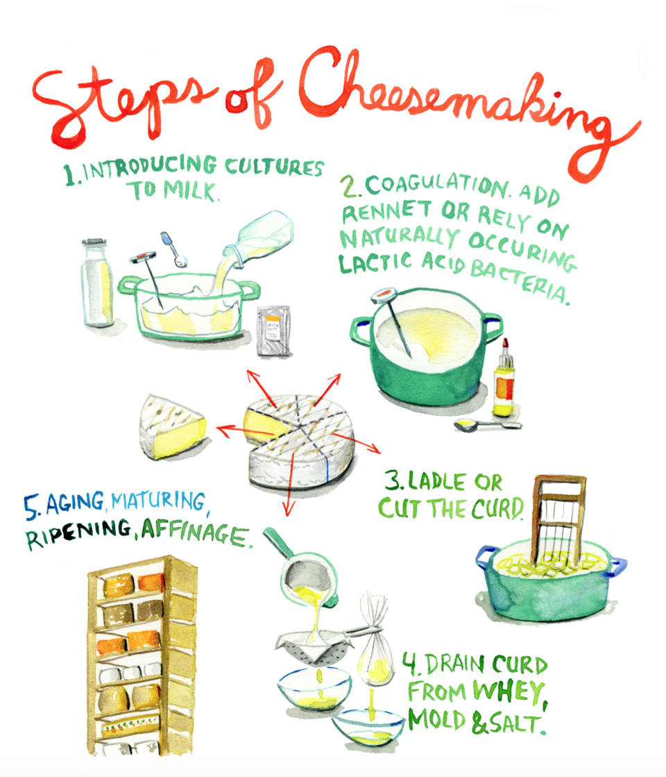 Cheesemaking can be broken down into five steps. (Jessie Kanelos Weiner)