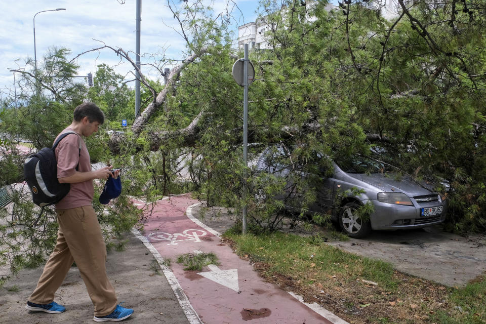 A person walks past a downed tree after a powerful storm in Montenegro's capital Podgorica, Tuesday, July 2, 2024. A powerful storm has swept through countries in the western Balkans after several days of sizzling temperatures, killing two people and damaging houses, pulling out trees and flooding streets, officials said on Tuesday. (AP Photo/Risto Bozovic)