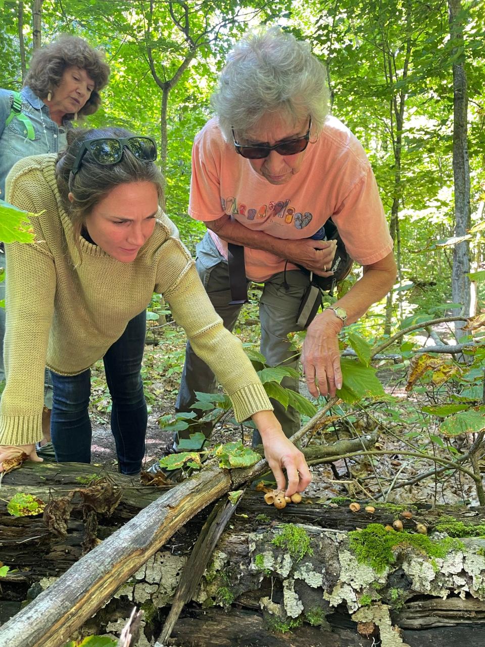 Little Traverse Conservancy educator Sarah Koetje led several outdoor education classes with the Friendship Center of Petoskey throughout 2021.