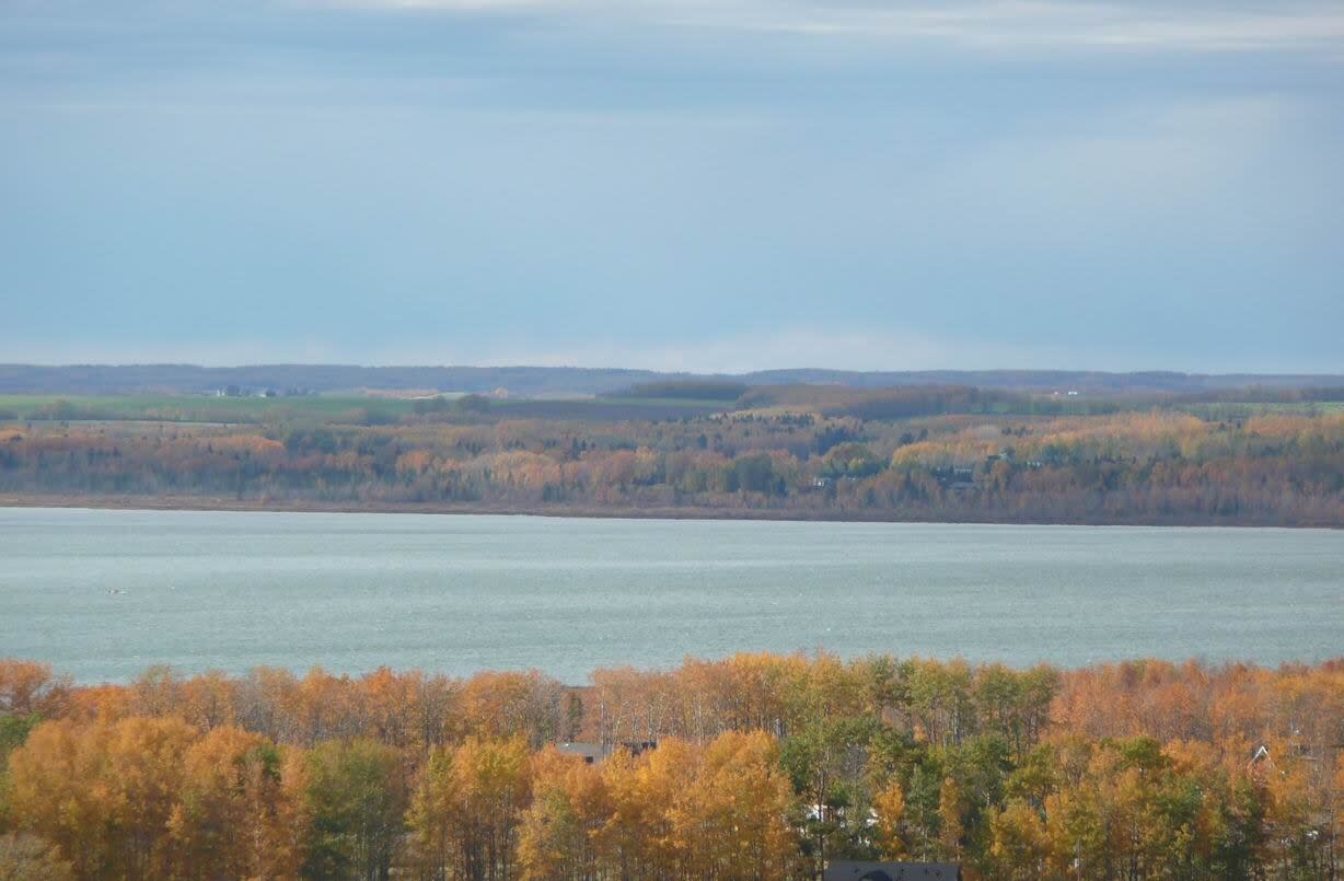 A shot of Gull Lake during fall. The water levels in the lake have been declining for several years.  (Norval Horner - image credit)