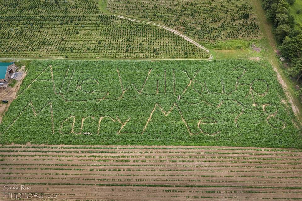 The corn-maze proposal that won the internet. (Photo: Courtesy of Travis Drexler/Allie Randall)