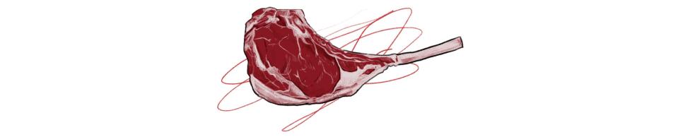 stylized image of meat chop