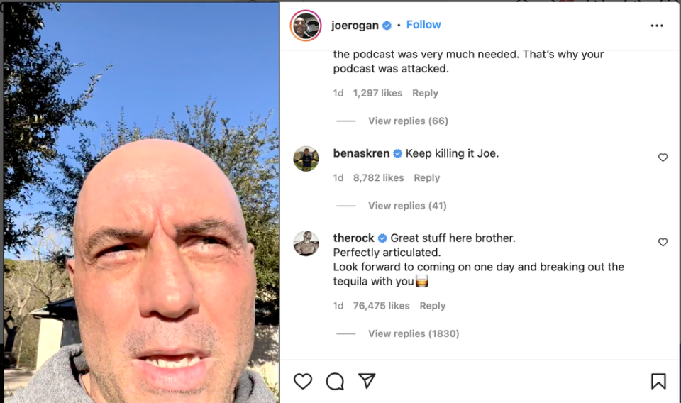 Dwayne Johnson divided fans with response to Joe Rogan (Instagram)