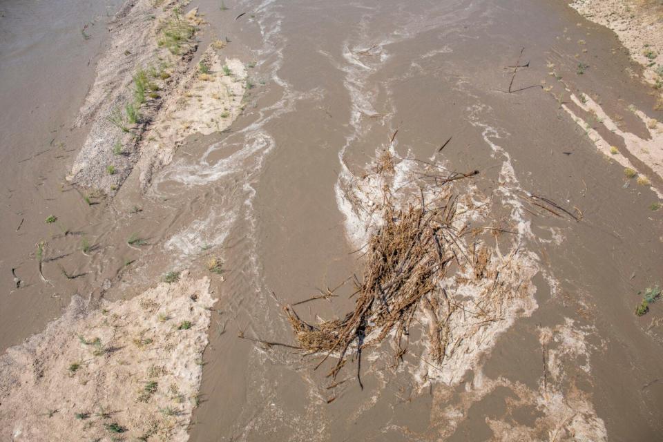 The first wave of Rio Grande water released from Caballo Reservoir is unusable for irrigation because of the high salt content in the bed, which comes from irrigation runoff and evaporation.