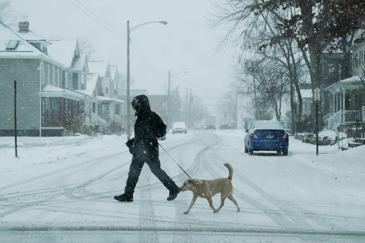 A person walks their dog across Oak Street in Olde Towne East Monday during a snowstorm. Franklin County was subject to a Level 1 snow emergency Monday afternoon.