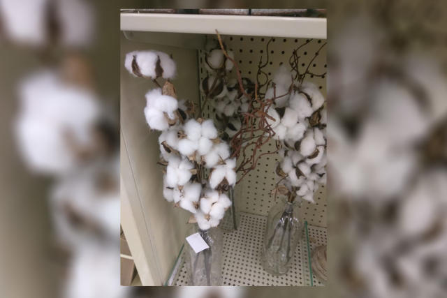 Natural Cotton Cord, Hobby Lobby