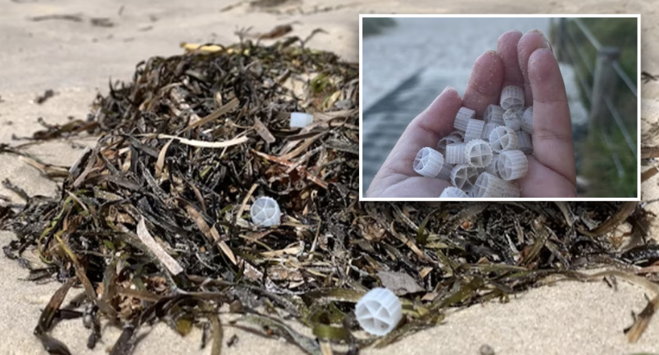 Over 40,000 of tiny pieces of plastic have been washed into the ocean on Bribie Island in Queensland after a spill at CSIRO facility. Source: ABC. 