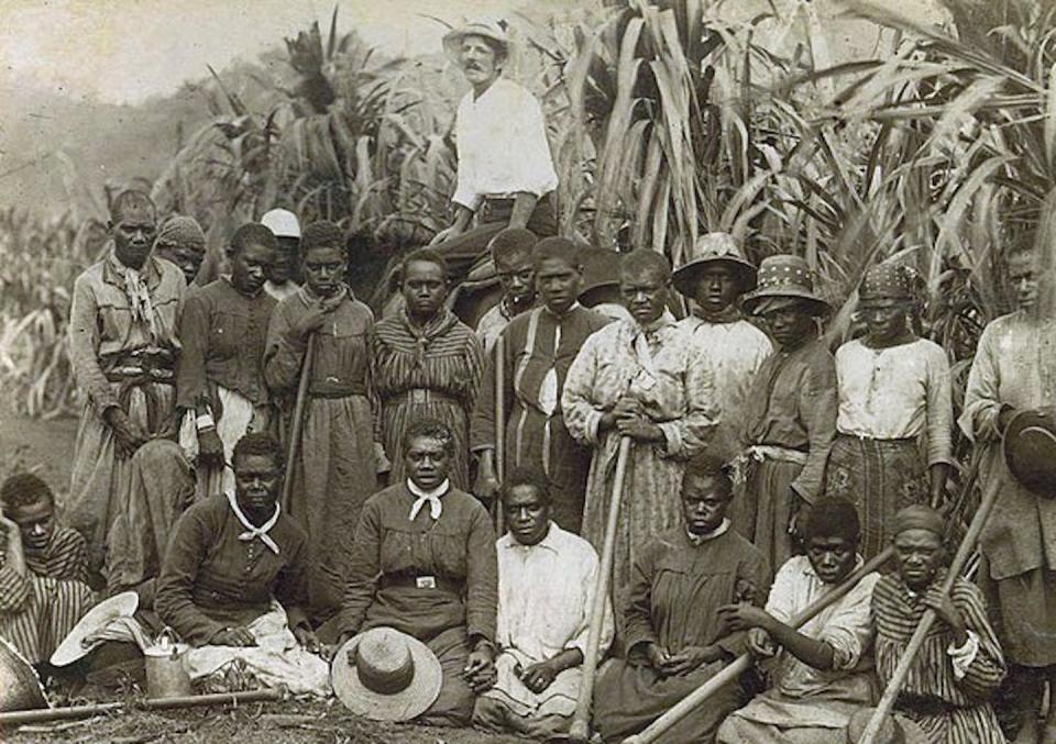 Kanakas on a sugar cane plantation, Queensland c.1890. Public domain